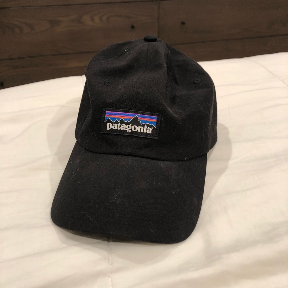 Patagonia Cap
